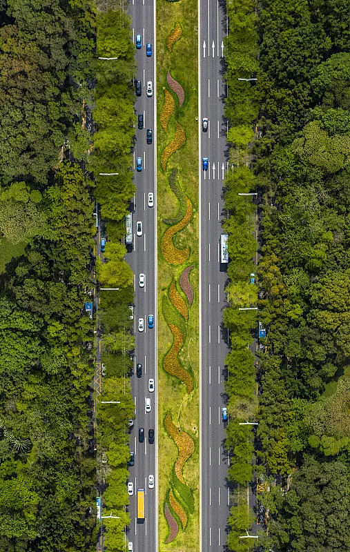 美丽的深南大道图片素材