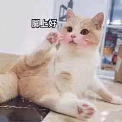 (99+ 封私信 / 99+ 条消息) 有哪些可爱的表情包? - 知乎 : 更新更新小新海绵宝宝猪猪皮卡丘熊熊乱七八糟更身为表情包大佬，肯定是要沙雕笑疯，怼人骂死，撩汉甜炸！…