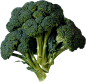 Broccoli PNG image