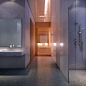 DBOX_website_432casestudy_CGI_amenities_spa