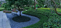 640.webp (20).jpg
