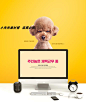 可爱宠物猫咪狗狗和人相处生活工作海报画报PSD设计模板psd505-淘宝网