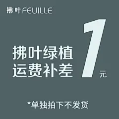 拂叶运费补差 单独拍下不发货 差多少运费就拍多少个-淘宝网