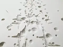 Noriko Ambe 的书雕作品_手机搜狐网