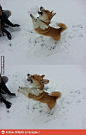 Snowball? I like it!