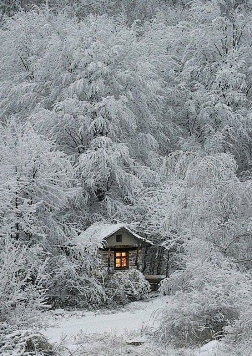 雪夜里的一點光。