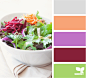 color salad