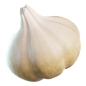 Garlic 3D Illustration