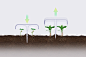 Modular micro-environments that grow with the plants, helping farmers germinate without transplanting! | Yanko Design