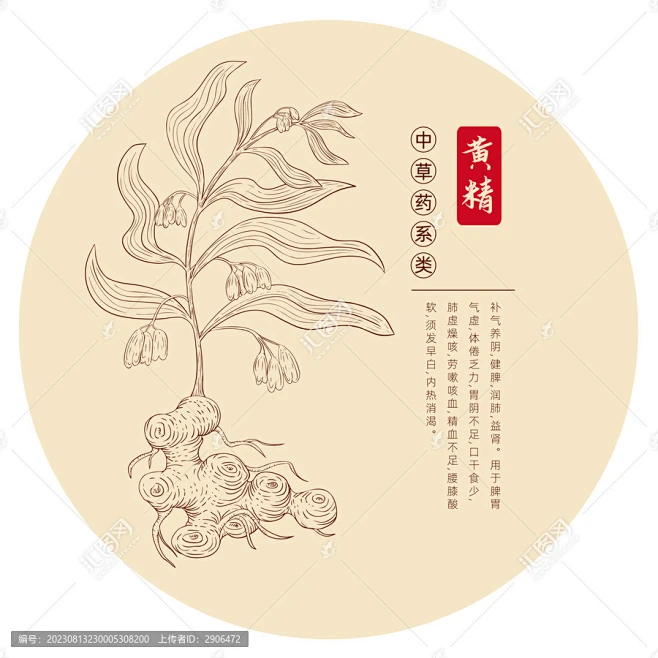 黄精插画版画白描-花瓣网