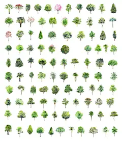 植树节海报  展板 保护环境   - 源文件下载【酷图网】植树节海报,展板,保护环境,绿色环保,公益植树,312植树节,社区活动,树木,素材背景,