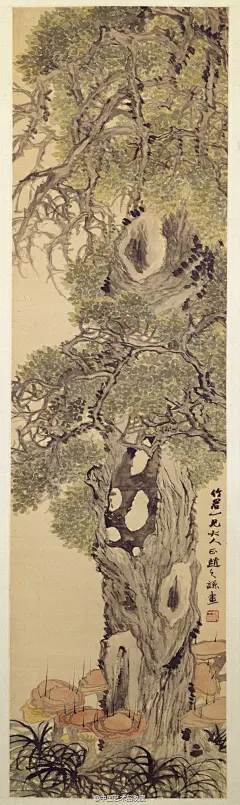#海上画派#【 清 赵之谦 《古柏灵芝图》 】轴，纸本设色，140.8×37.8cm，北京故宫博物院藏。 图绘一株参天的柏树，粗壮的树干久经岁月的磨难，疤痕累累。交叠成荫的叶片郁郁葱葱，春意盎然，古柏因此表现出顽强的生命力。柏树下低矮的灵芝茁壮而富有生气，颇有“迈众芳而秀出，冠杂卉而当闱”之神采。