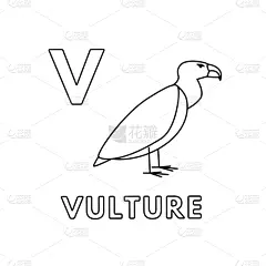 可爱的,字母,动物,秃鹰,卡通,单词,字母表次序,信函,野生动物,直的