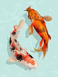 (115) Pinterest