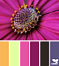 flora palette