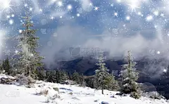 雪,杉树,背景,天空,贺卡,新的,边框,水平画幅,形状