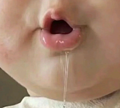 LemonBerry采集到沙雕搞笑网图