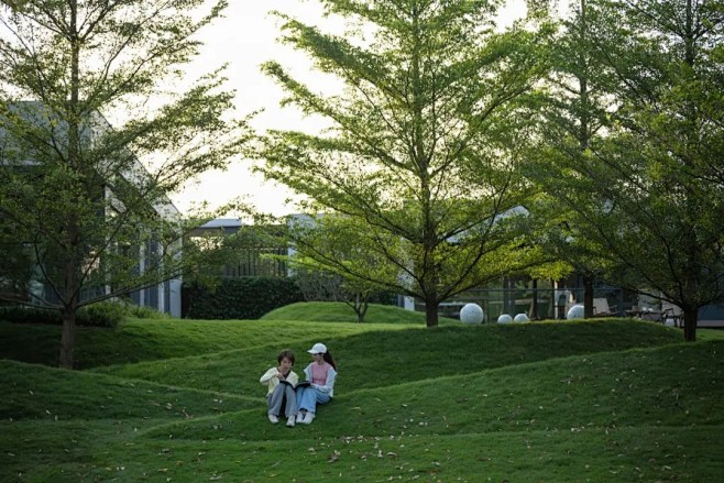 越秀·大学城·和樾府
起伏的艺术草甸为学...