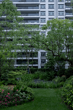 朝生采集到· Landscape ︱生态 / 雨水花園 Ecotope