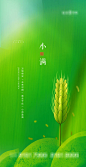 源文件下载- 小满节气