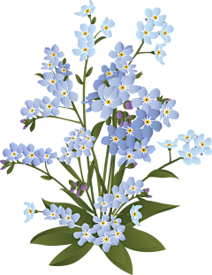 O8FCovsj采集到花朵