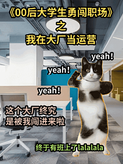 猫meme趣味玩梗小红书动态封面AIGC