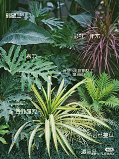 升乾131419采集到施工工艺