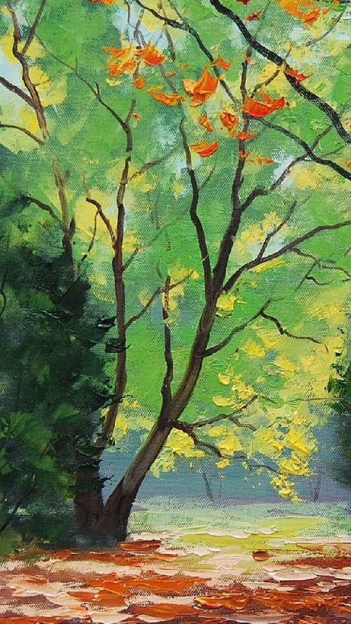 壁纸