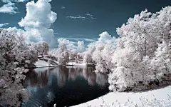 初冬的雪唯美景色壁纸-ZOL桌面壁纸