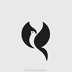 易美◆集采集到鸟类logo