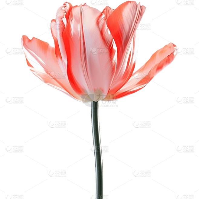 通用3D立体质感花朵元素