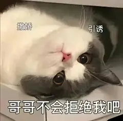 猫猫表情包_05