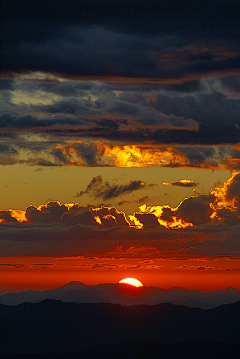 橘子orange橘子采集到思朝思夕思日月