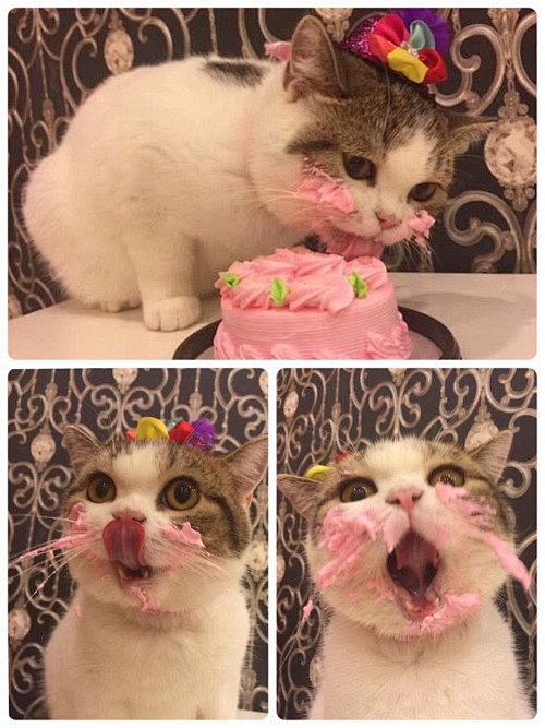 This princess enjoyi...