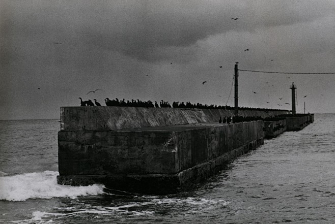 Masahisa Fukase（深瀬昌久...