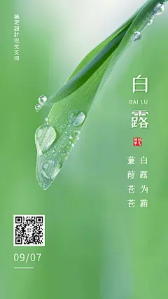 白露节气手机全屏转发宣传海报