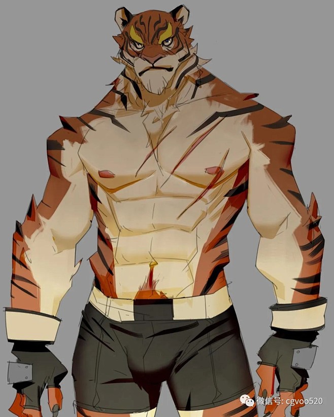 虎 猫科肌肉男