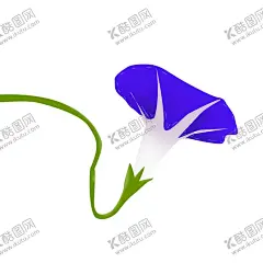 卡通牵牛花 【酷图网】手绘牵牛花,手绘喇叭花,牵牛花素材,牵牛花元素,喇叭花素材,水彩牵牛花,水彩喇叭花,国画牵牛花,国画喇叭花,牵牛花插画,喇叭花插画,卡通牵牛花,卡通喇叭花,手绘花卉,鲜花,花朵,手绘水彩花卉,花卉手绘,手绘花卉花朵,抽象手绘花卉,花卉背景墙,水彩花,牵牛花