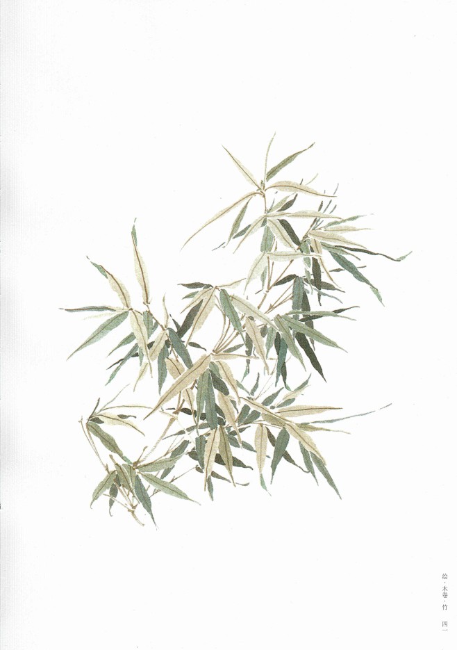 诗经草木绘 古风水彩植物手绘技法_50