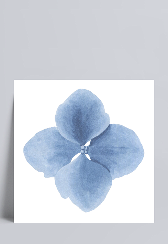 蓝色花朵|花卉,植物,蓝色,花瓣,花瓣,...