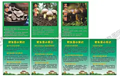 野生菌的功效 【酷图网】野生菌,功效,野生菌小常识,松露,白葱菌,黑牛肝菌