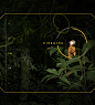 Dark Nature : Dark Nature is an immersive exhibition at the American Museum of Natural History that aims to engage and educate guests through interactive technology, allowing them adapt to the surrounding nature. Their senses are heightened through a seri