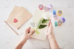 生日,贺卡,剪刀,手艺,纸,白昼,婚礼,数字8,花,做