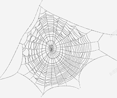 冯欣f采集到蜘蛛网素材