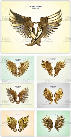 矢量鸟类天使飞禽怪物生物翅膀羽翼金色黑白手绘插画平面设计素材-淘宝网
