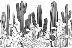 仙人掌,森林,野生植物,四方连续纹样,华丽的,壁纸,墨西哥,梨,自然美,绘制