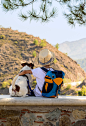 健康冒险的生活方式概念，孩子抱着狗在石凳上看山(从后面看)照片摄影图片_ID:352171137-Veer图库