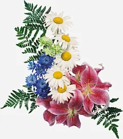 ps花卉素材花卉图案_新图网 https://ixintu.com 手绘 庆典花草 花卉背景 唯美花卉图片 创意花草图片 花草背景