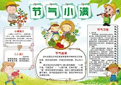 小满节气24节气小报手抄报