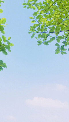 芈翎采集到壁纸